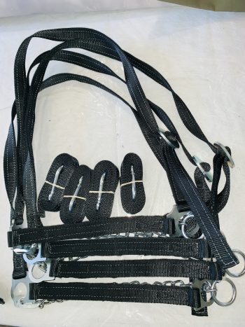 Black Cattle Show halters