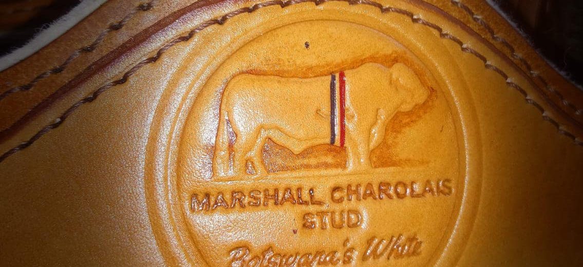 Leather - Logo over the nose