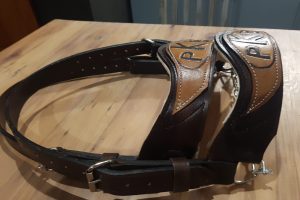 Leer halter 2